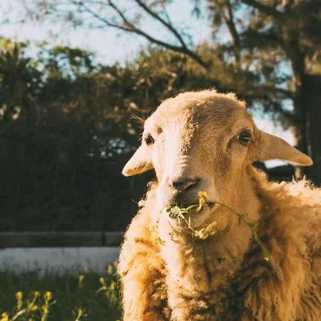 Joya Del Jable 別荘